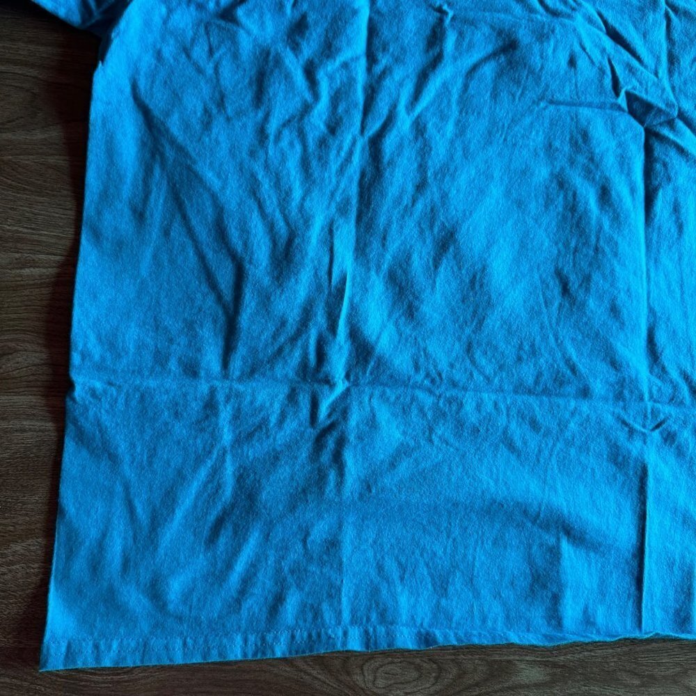 Hanes 2018 Awhonn Convention Tampa Florida Teal T-shirt Size L - Picture 12 of 14